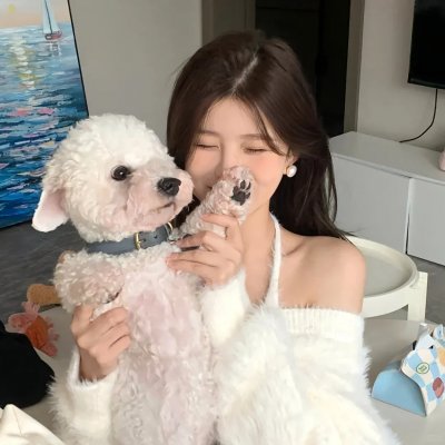雁南飞